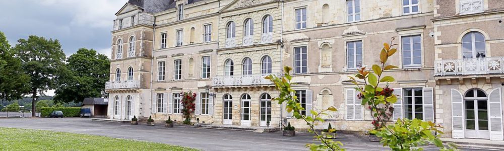 Chateau De Briancon Bauné エクステリア 写真